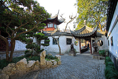 一本精品久久艹｜揭秘成功奥秘，知识盛宴之旅-2