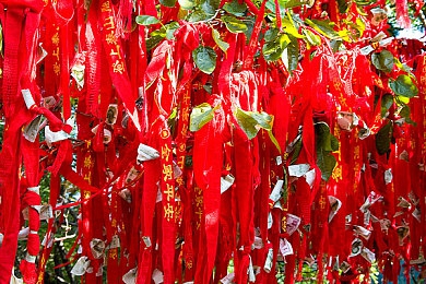 色呦呦网址｜网海探秘，色呦呦见证精彩瞬间-5