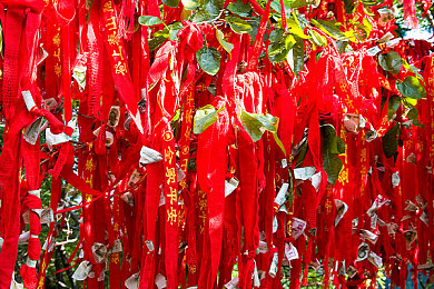 草莓视频在线观看免费送｜草莓视频狂欢，免费观看，积分大放送，好友共享乐-2