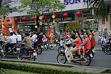 菠萝蜜一二线产区｜热带果王传奇：菠萝蜜王国探险之旅-5