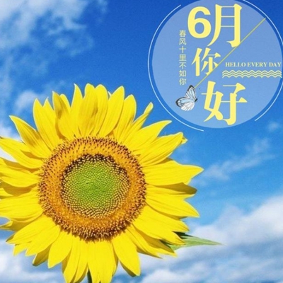 榴莲视频色多多：短视频平台因低俗内容被查,网络内容治理再引热议-5