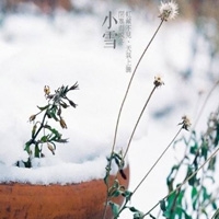 小熊移植汉化：经典游戏中文重生引热议,版权与文化适配成焦点-2